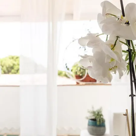 Steps From The With Views And Big Patio! Apartmán Baia Sardinia